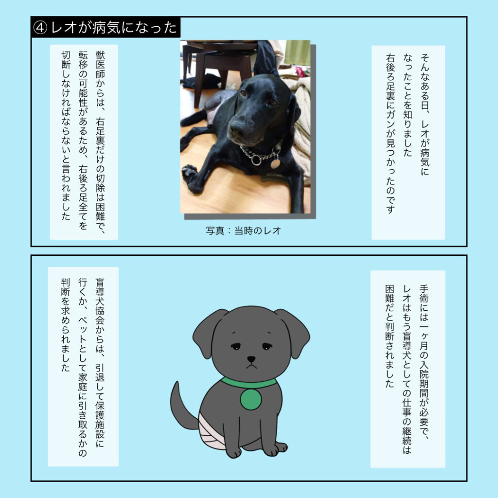 レオが病気になった