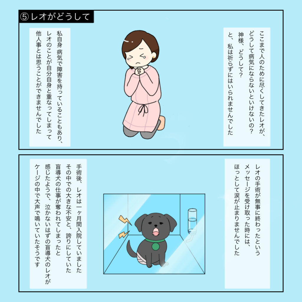⑤レオがどうして