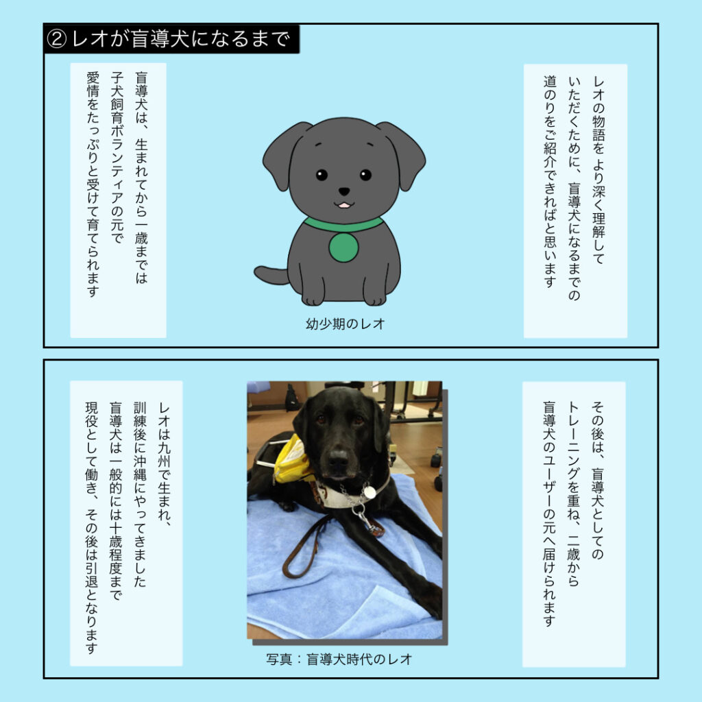 ②レオが盲導犬になるまで