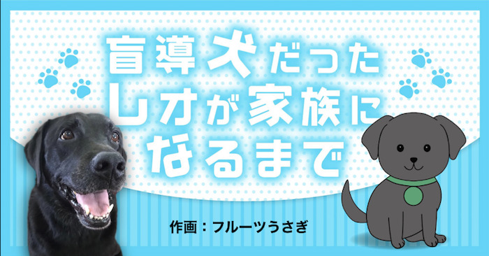 盲導犬だったレオが家族になるまで