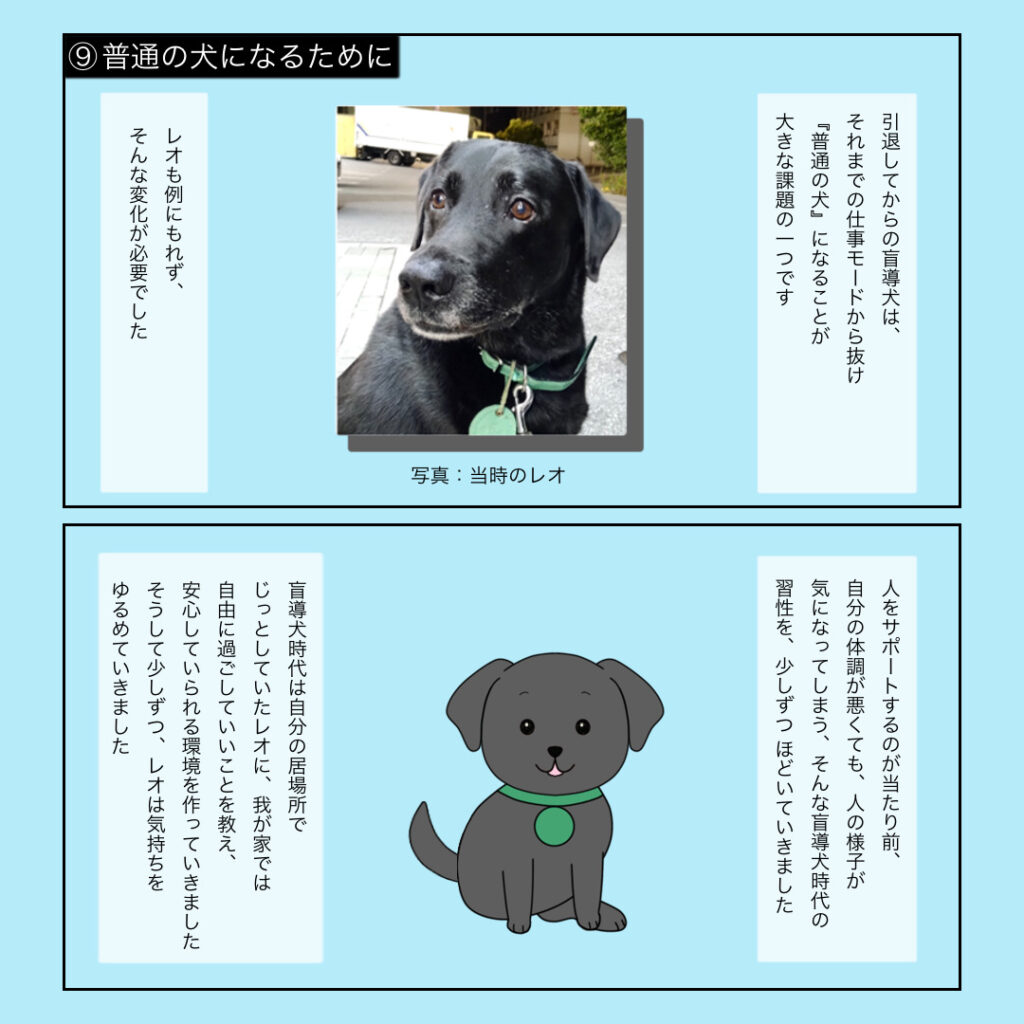 ⑨普通の犬になるために