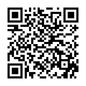 崩壊スターレイルQR